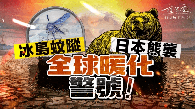 冰島蚊蹤 日本熊襲 全球暖化警號