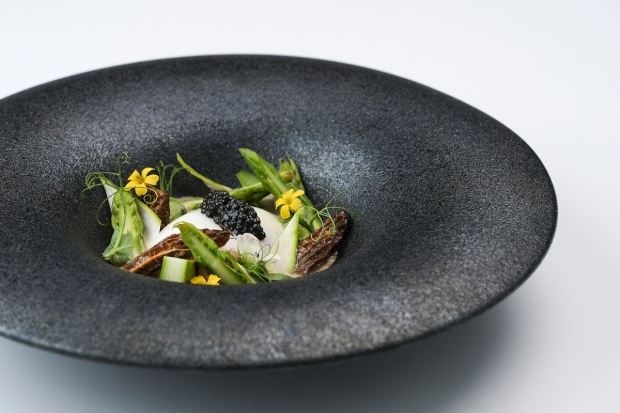 CulinArt 1862 五月法式藝術饗宴